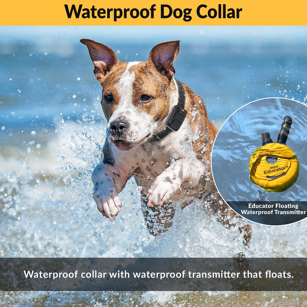Mini  E-Collar ET-300 1/2 Mile Waterproof Remote Dog Training Collar Includes Premium Finger Clicker Trainer, 100 Programmable Levels + Vibration + Light + Sound, Yellow