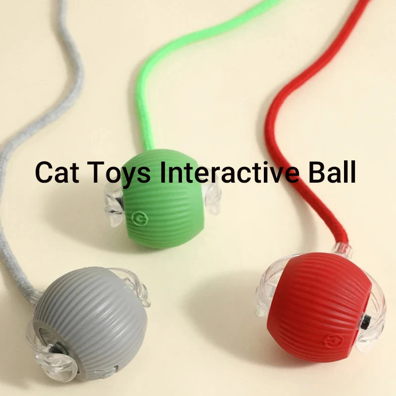 Interactive Cat Ball
