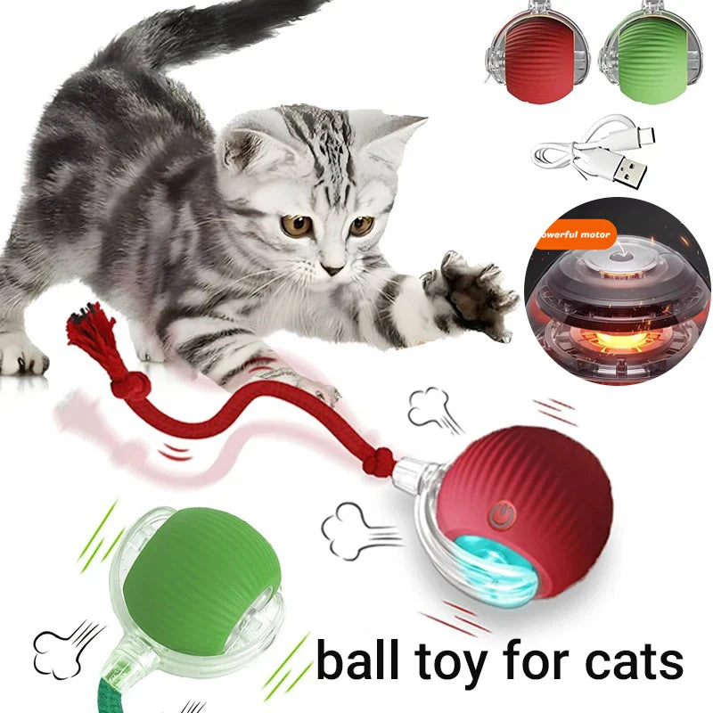 Interactive Cat Ball