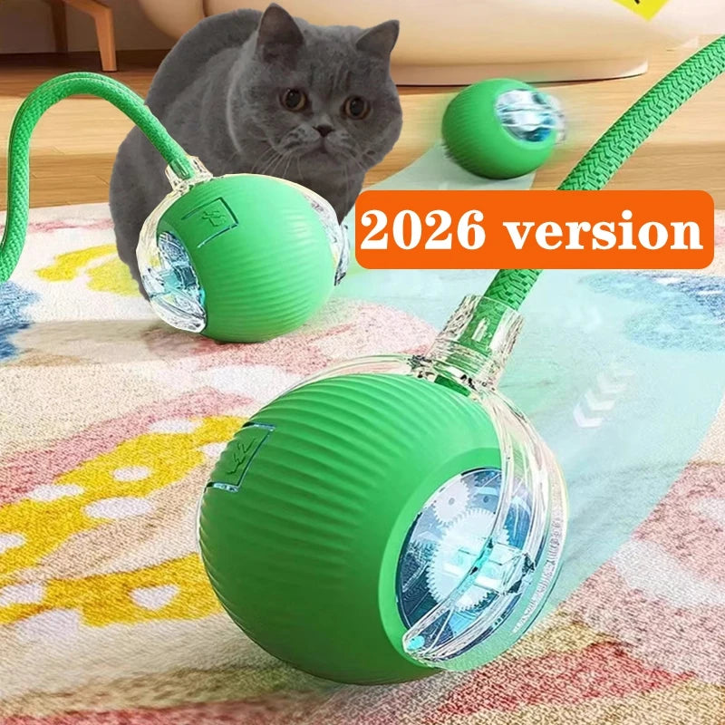 Interactive Cat Ball