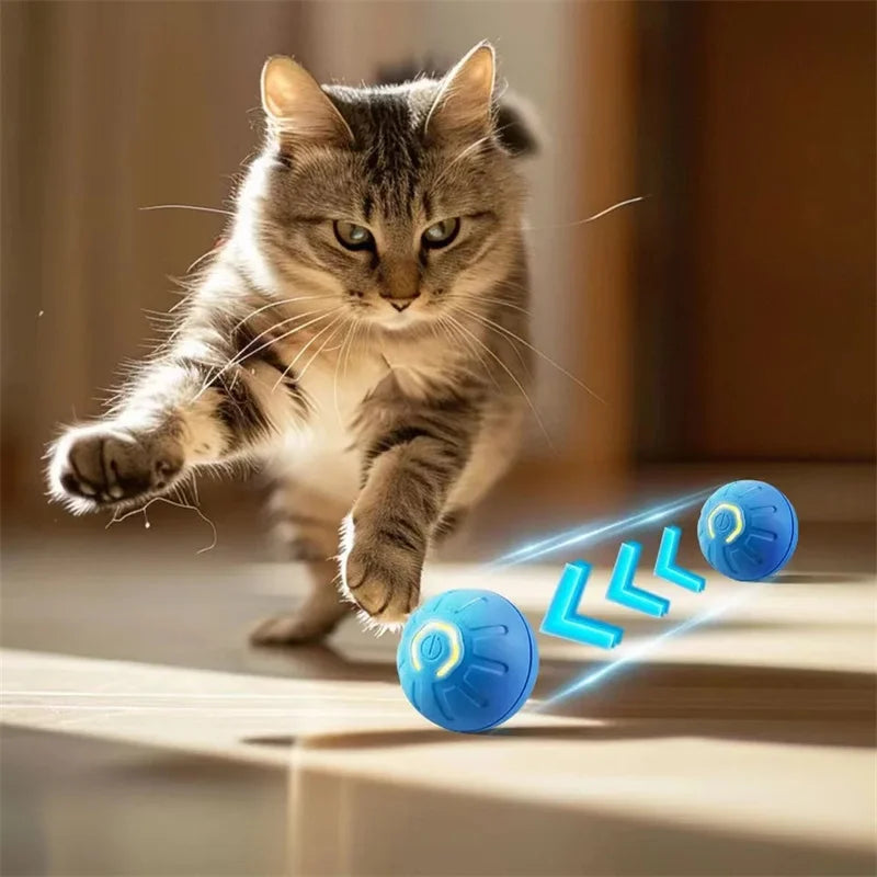 Bouncy Buddy Interactive Play Ball