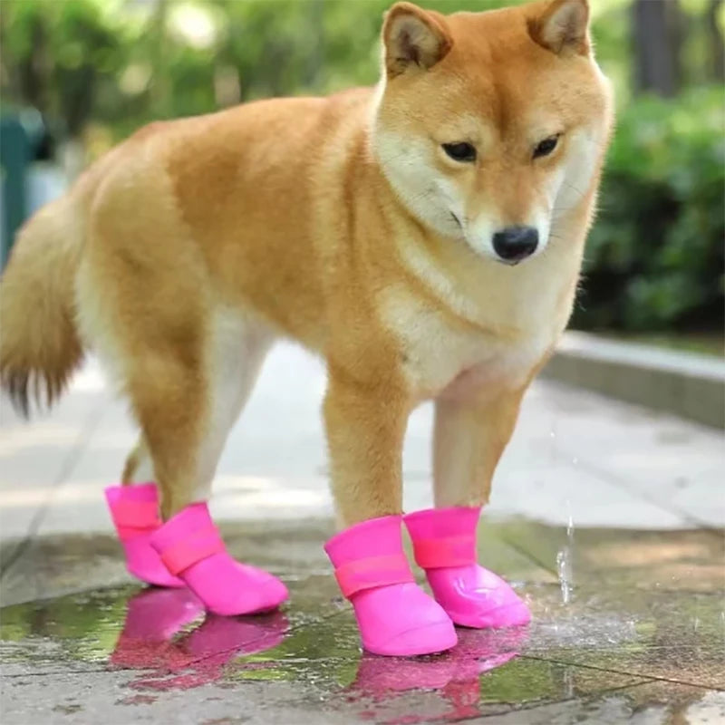 PawGuard Rain Boots