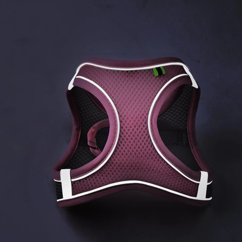 SafeWalk Reflective Pet Harness Vest