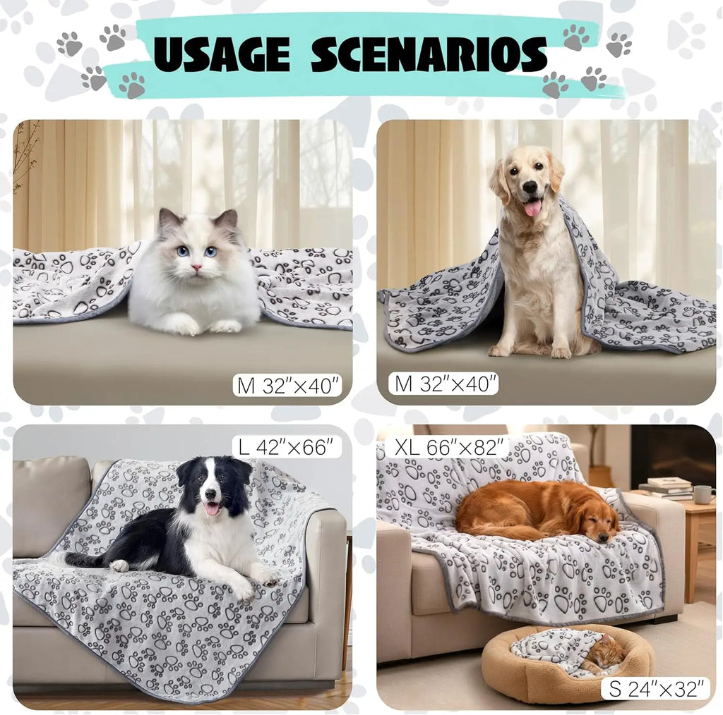 Plush Dog Blanket