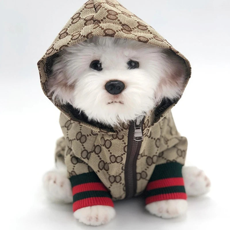 Pet Windbreaker Jacket