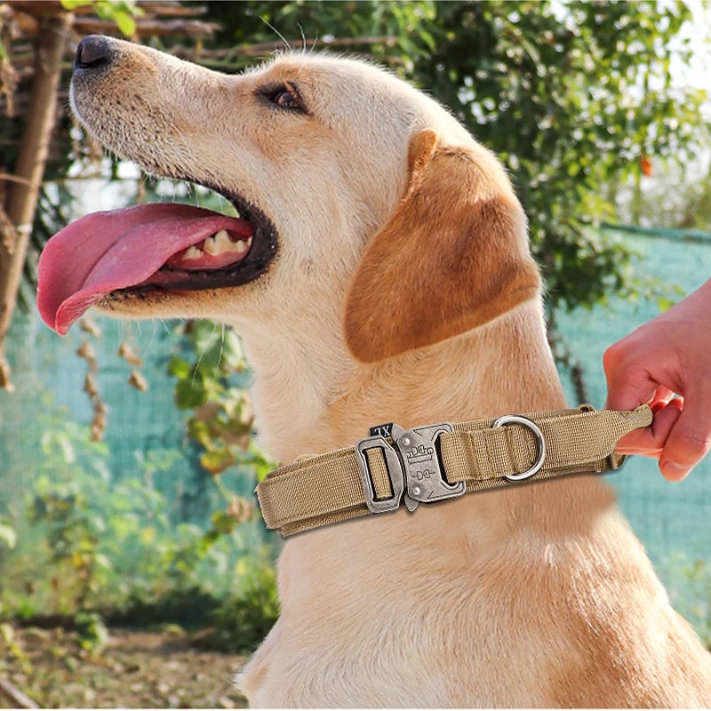 Tactical Reflective Dog Set