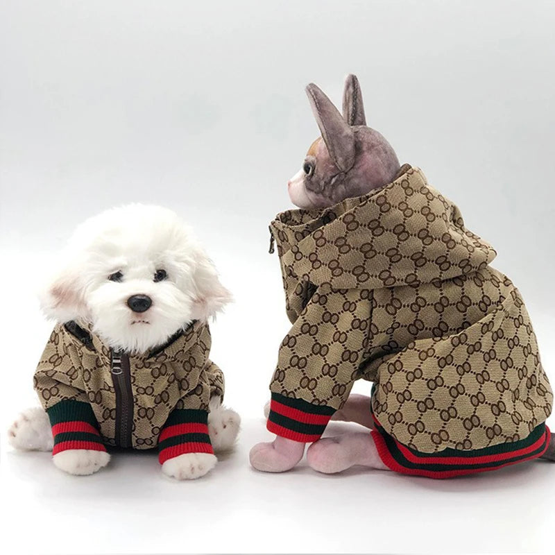 Pet Windbreaker Jacket