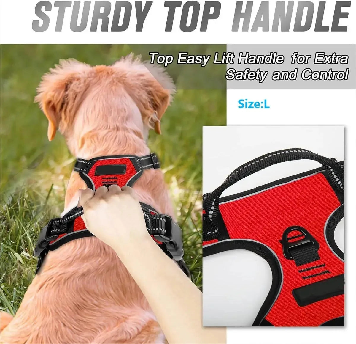 Everyday Dog Gear Set