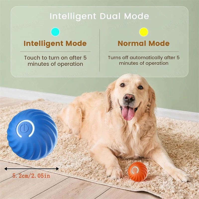 Bouncy Buddy Interactive Play Ball