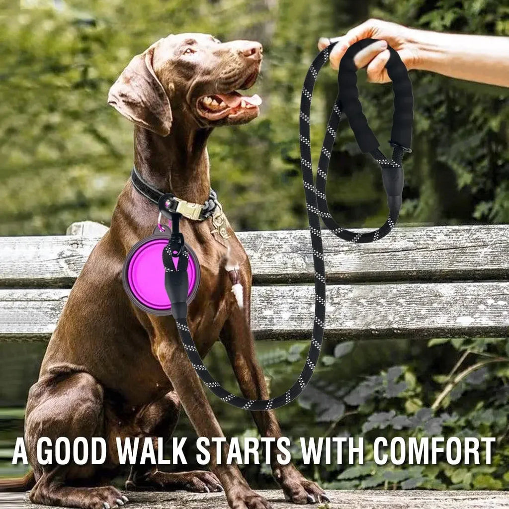 SureGrip Reflective Dog Walking Leash