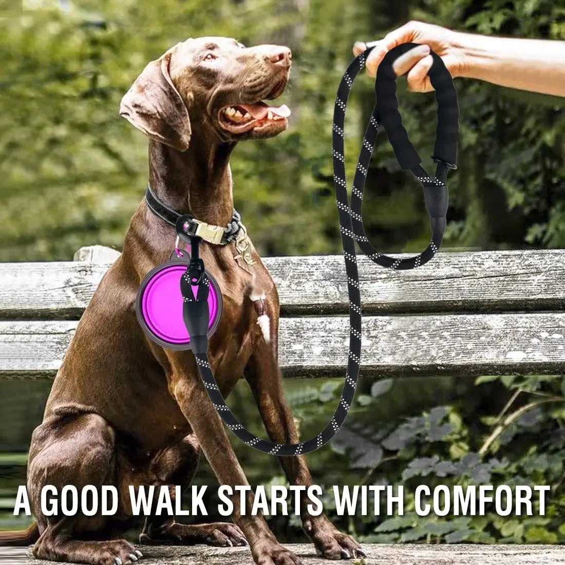 SureGrip Reflective Dog Walking Leash
