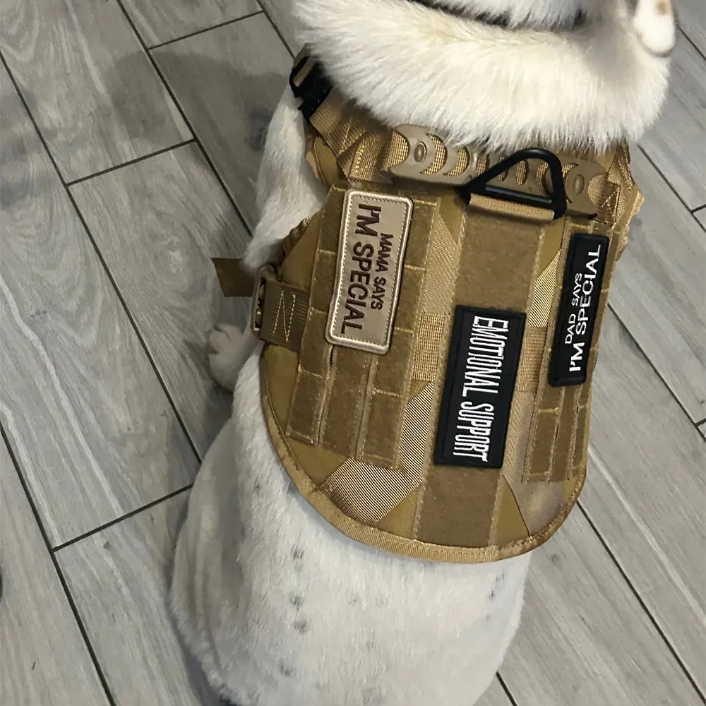 PatchPal Service Dog Patch