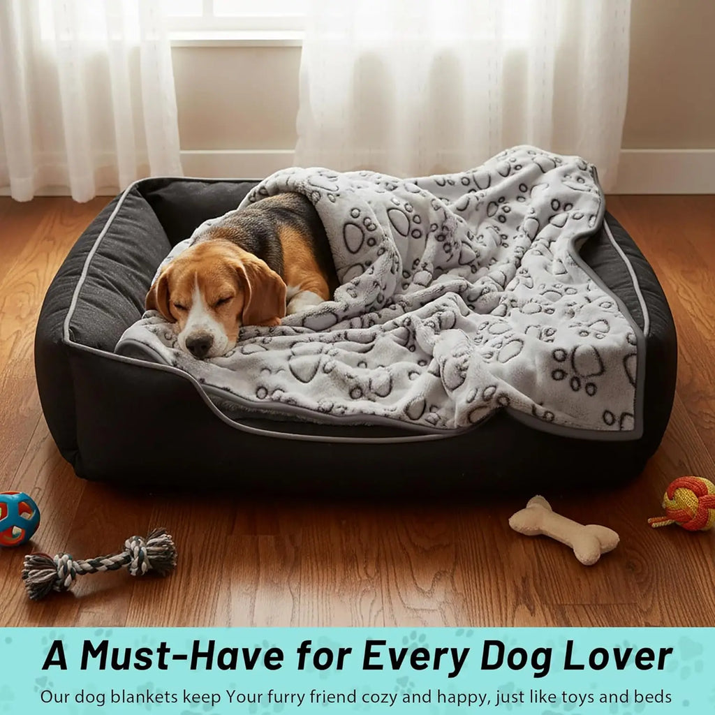 Plush Dog Blanket