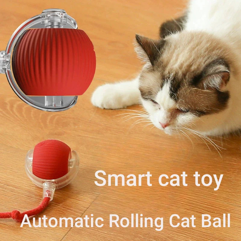 Interactive Cat Ball