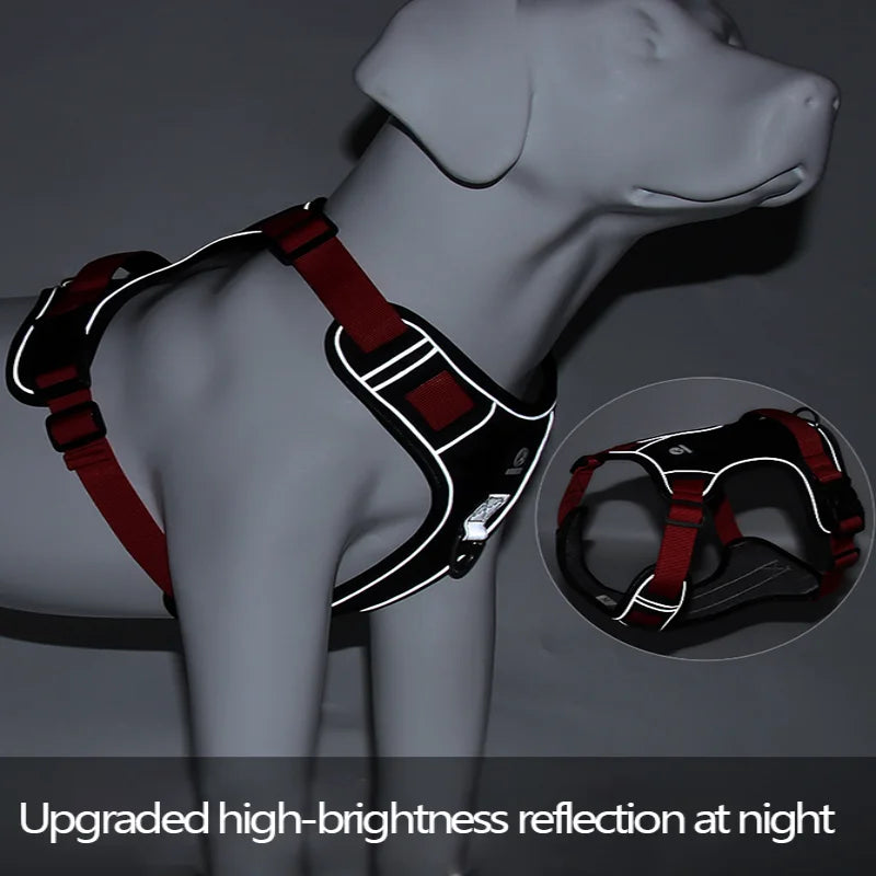 Rugged Trail Dog Harness