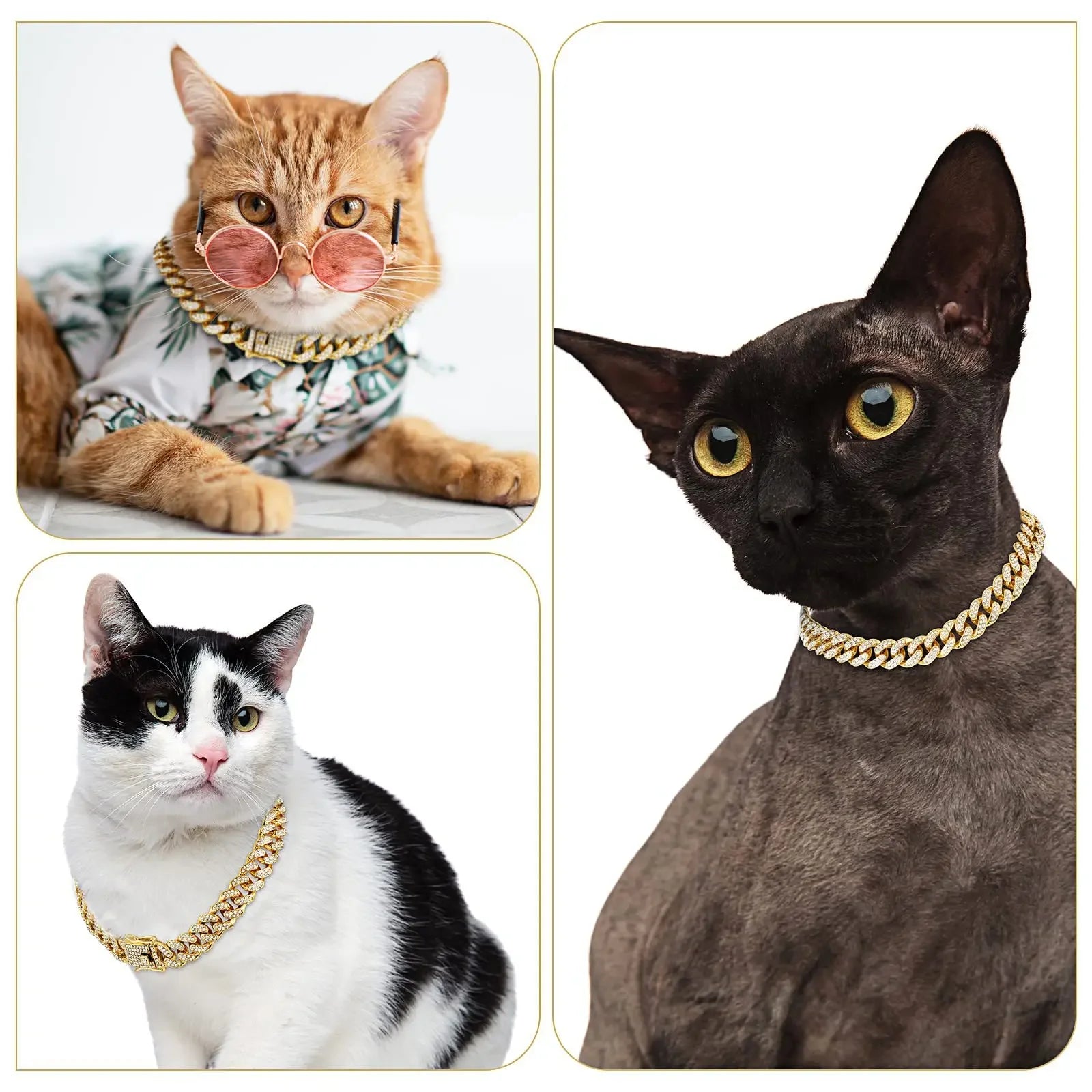 Cuban Diamond Pet Collar