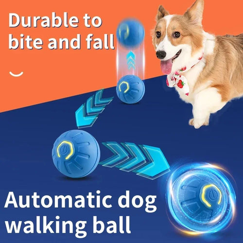 Bouncy Buddy Interactive Play Ball
