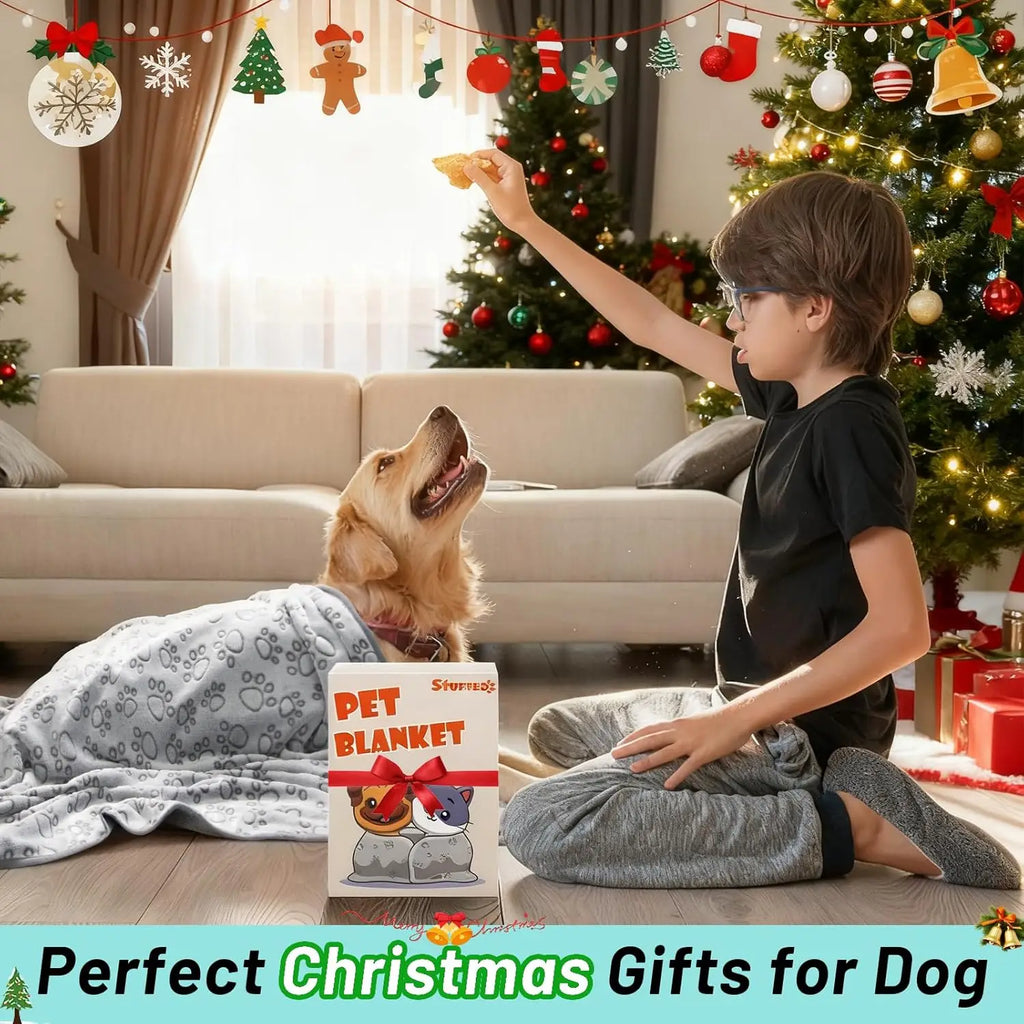 Plush Dog Blanket