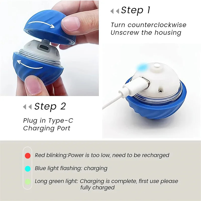 Bouncy Buddy Interactive Play Ball