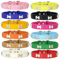 Rugged Bone Leather Pup Collar