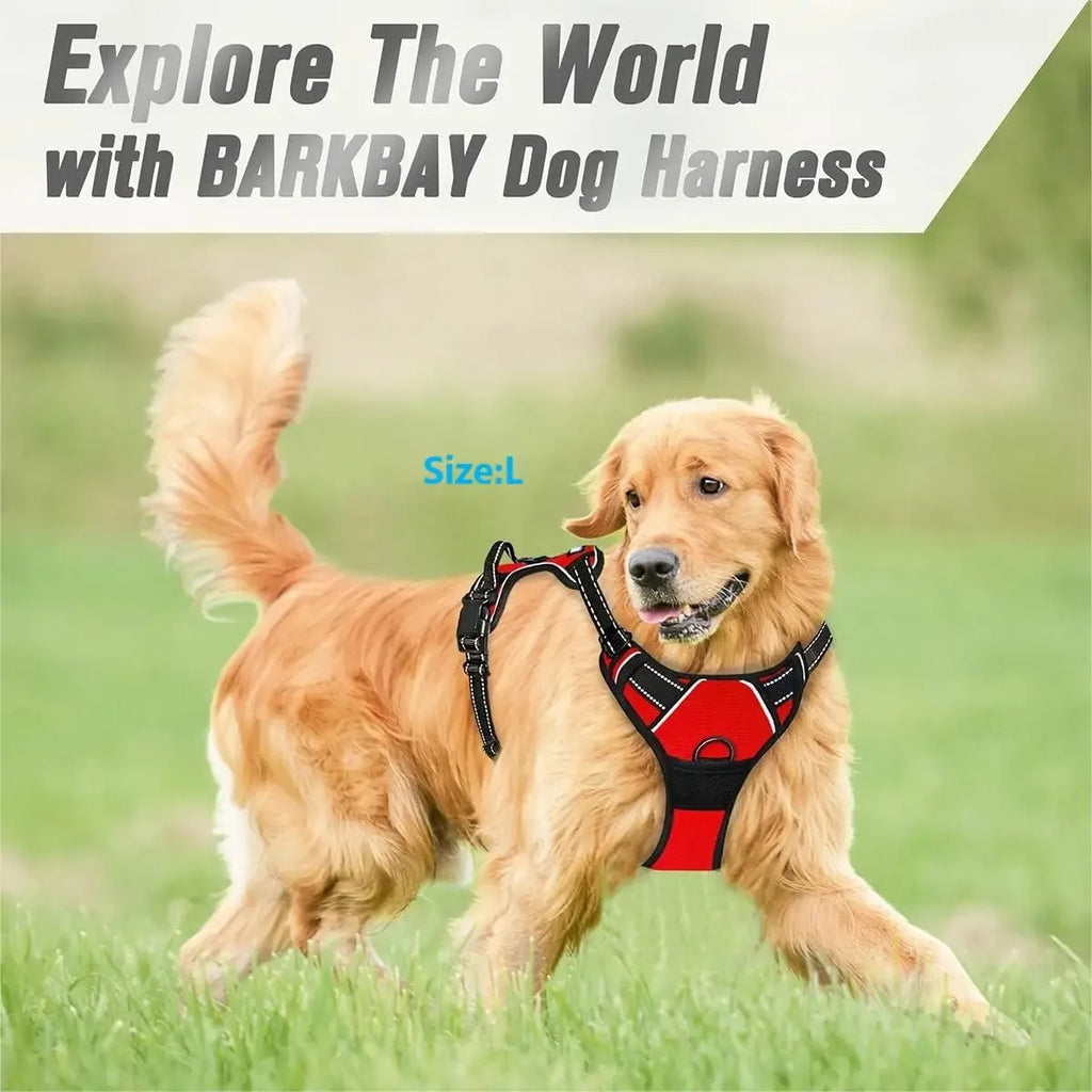 Everyday Dog Gear Set