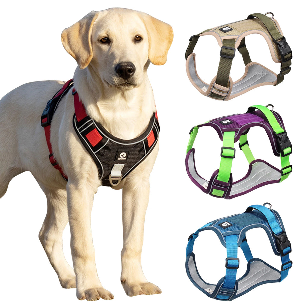 Rugged Trail Dog Harness