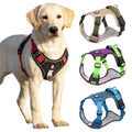 Rugged Trail Dog Harness