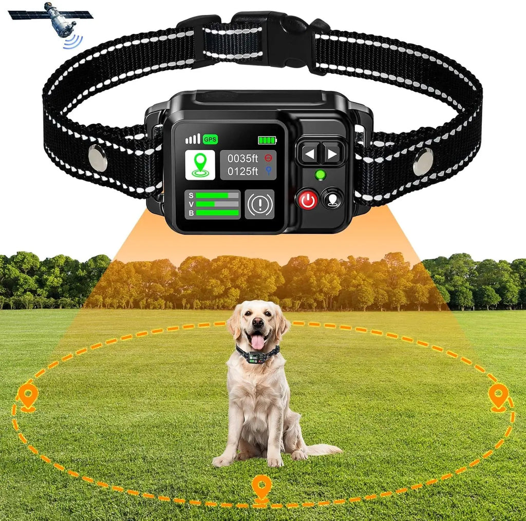 GPS Pet Fence