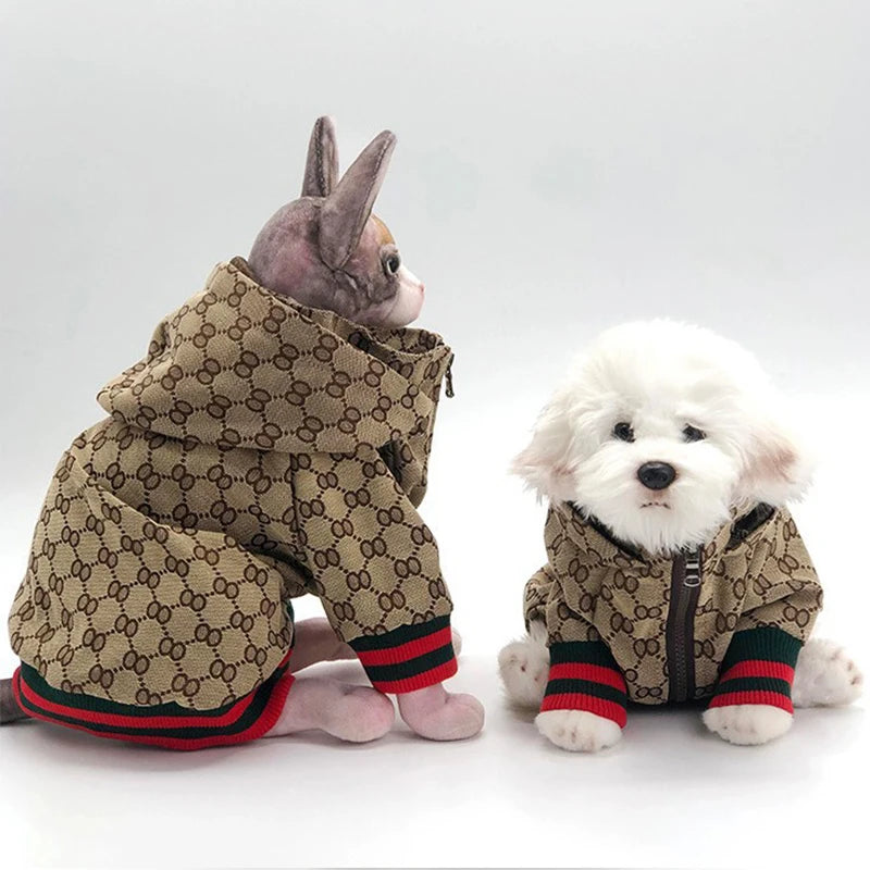 Pet Windbreaker Jacket