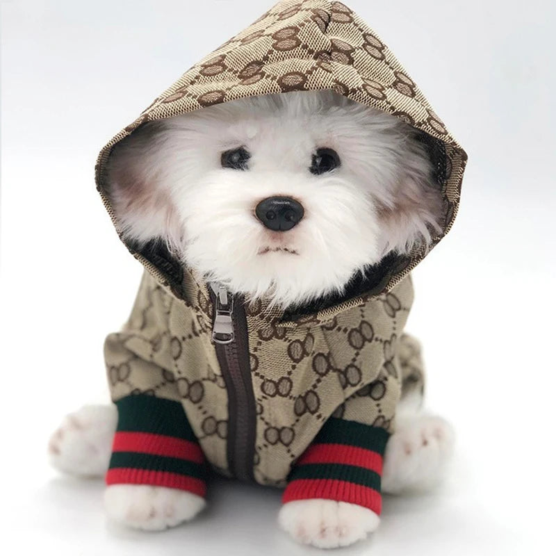 Pet Windbreaker Jacket