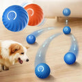Bouncy Buddy Interactive Play Ball
