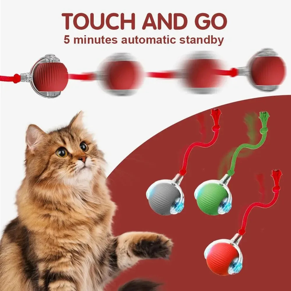 Interactive Cat Ball