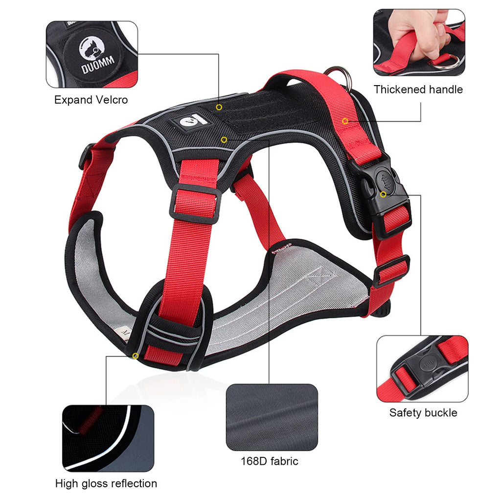 Rugged Trail Dog Harness