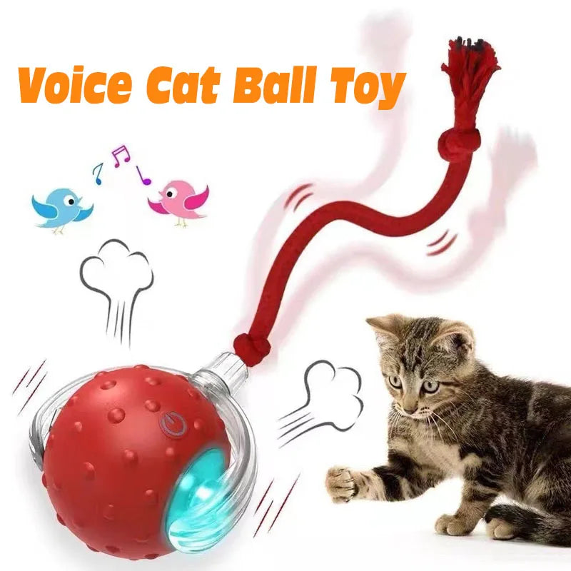 Interactive Cat Ball