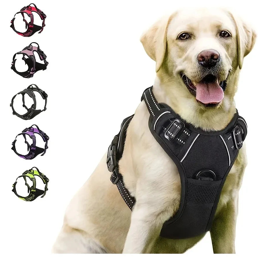 Everyday Dog Gear Set